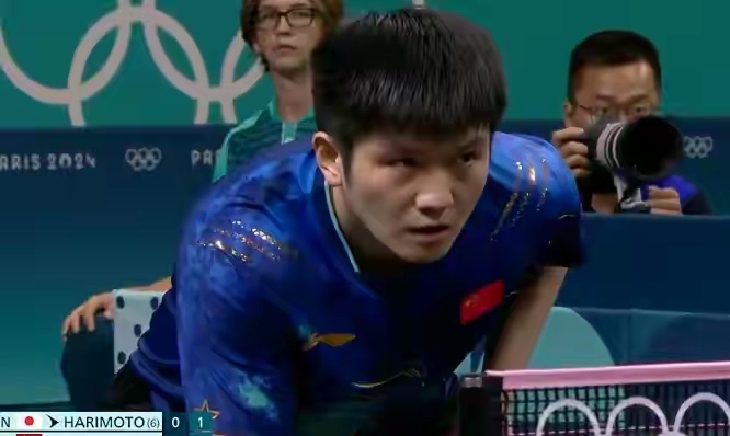 日本队翻盘韩国队，樊振东状态火热的简单介绍