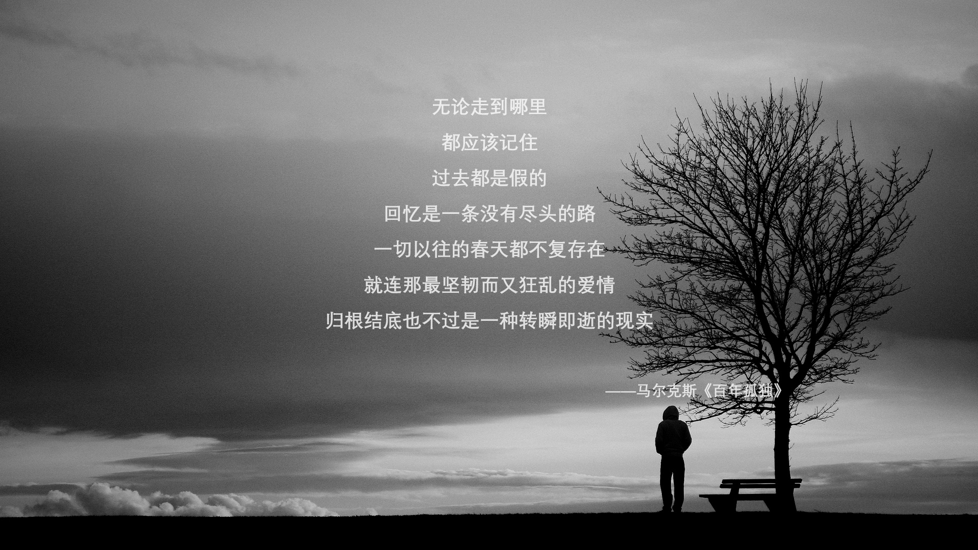 勇士终结骑士,东契奇献完美表演,一个比赛日,两种统治力