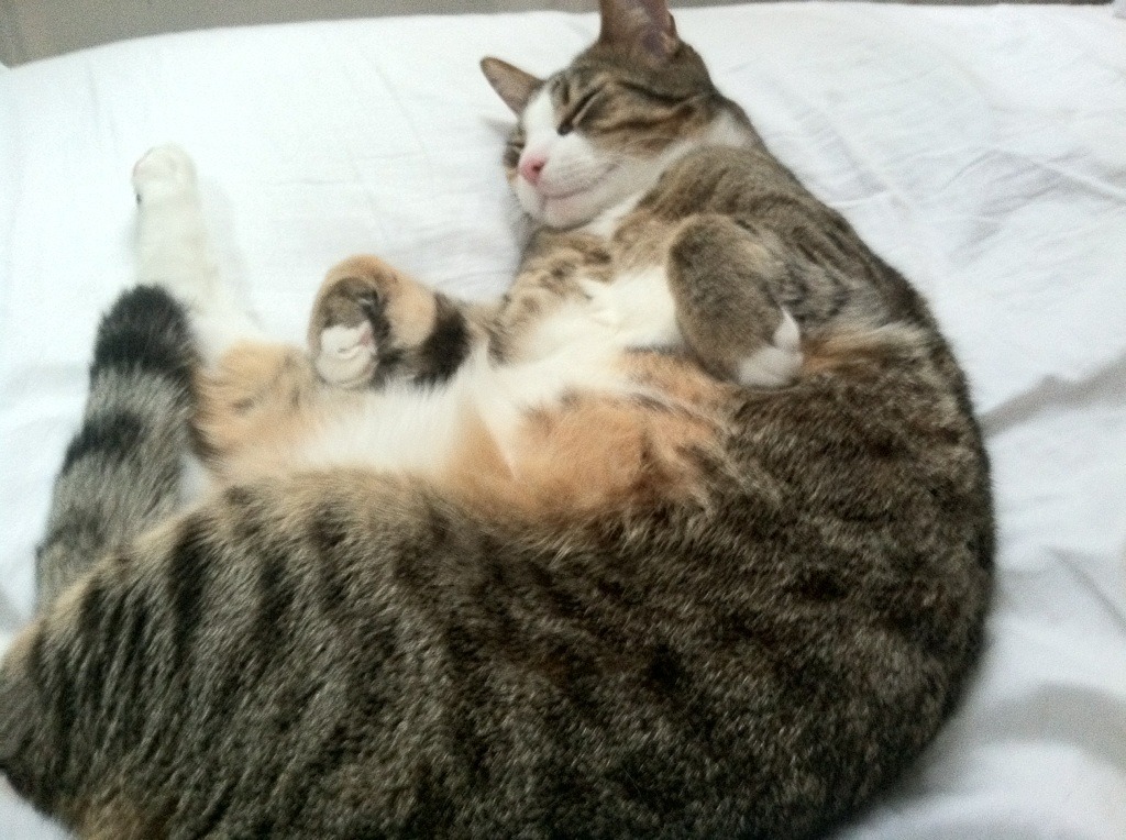 梅西的七种武器，当暴力美学成为悬念终结者