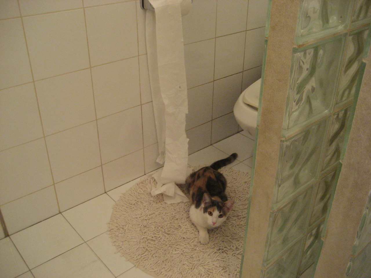 钢铁意志碾过天赋,北京队年度焦点之战强压猛龙启示录