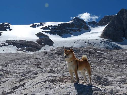 库尔图瓦点燃赛场,阿森纳逆转墨西哥,一场定义足球之美的矛盾交响