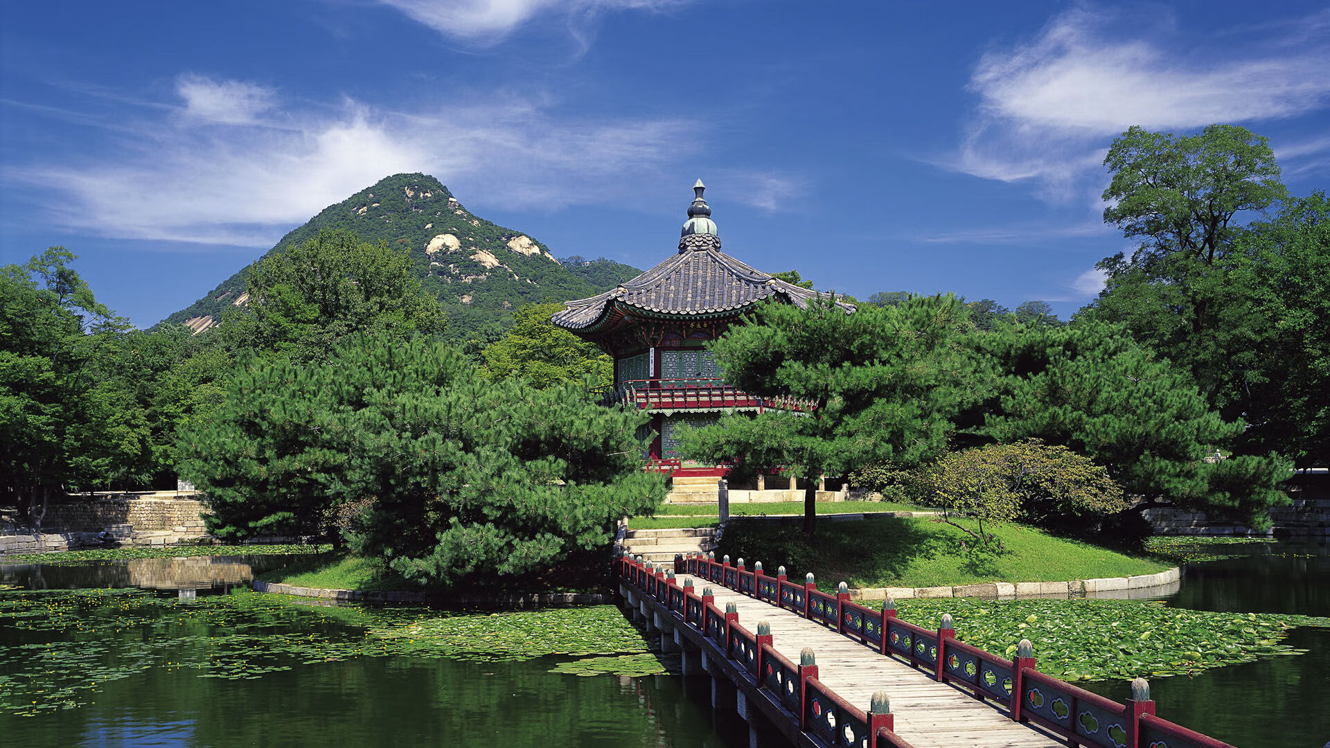 巨星闪耀与远征南非,现代足球的全球化与本土化博弈