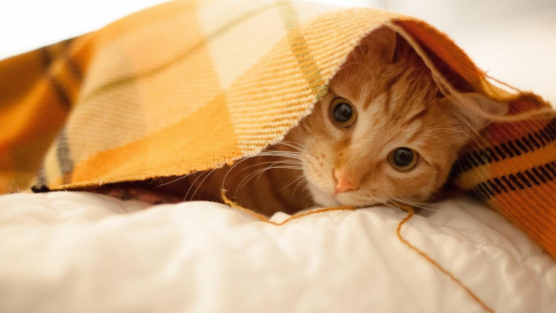 聚光灯下的进化,当哈登的宏大叙事遇上雷霆热火的宿命棋局