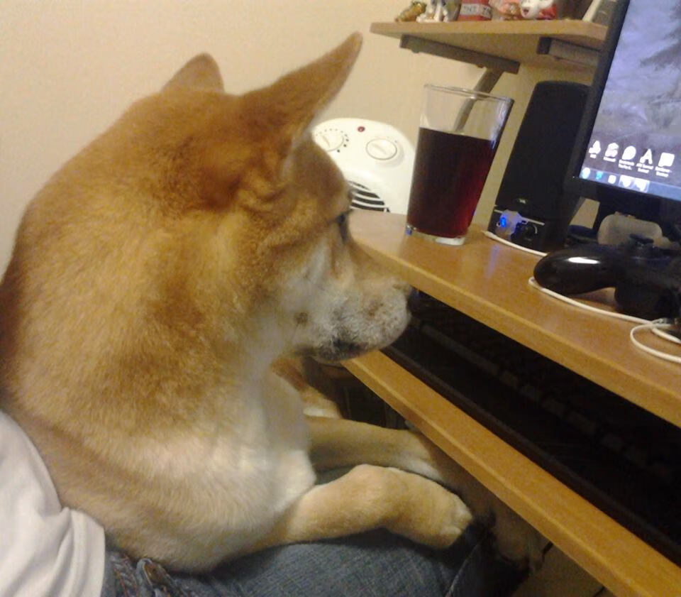 广厦淘汰新疆展团队之力，武切维奇如F1车手般接管比赛诠释竞技巅峰