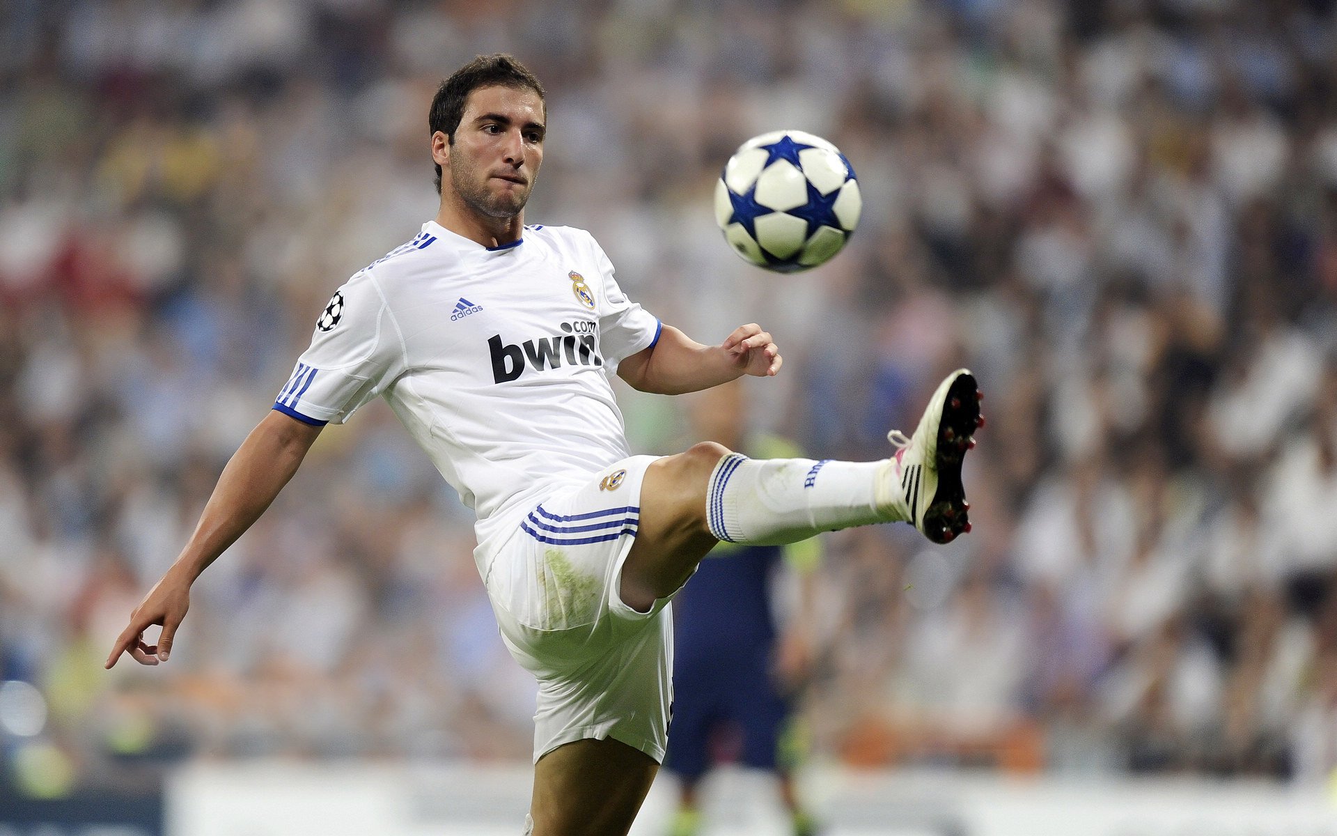 绿茵与球场双星闪耀，德甲争冠夜与杰伦格林的火热状态