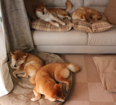 塔图姆的掌控艺术，在雄鹿与公牛的喧嚣中，聆听篮球的绝对理性