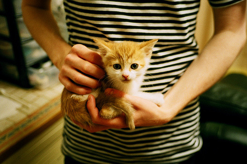 璀璨明星非洲之鹰,蒂亚戈爆发引领尼日利亚斩落洪都拉斯