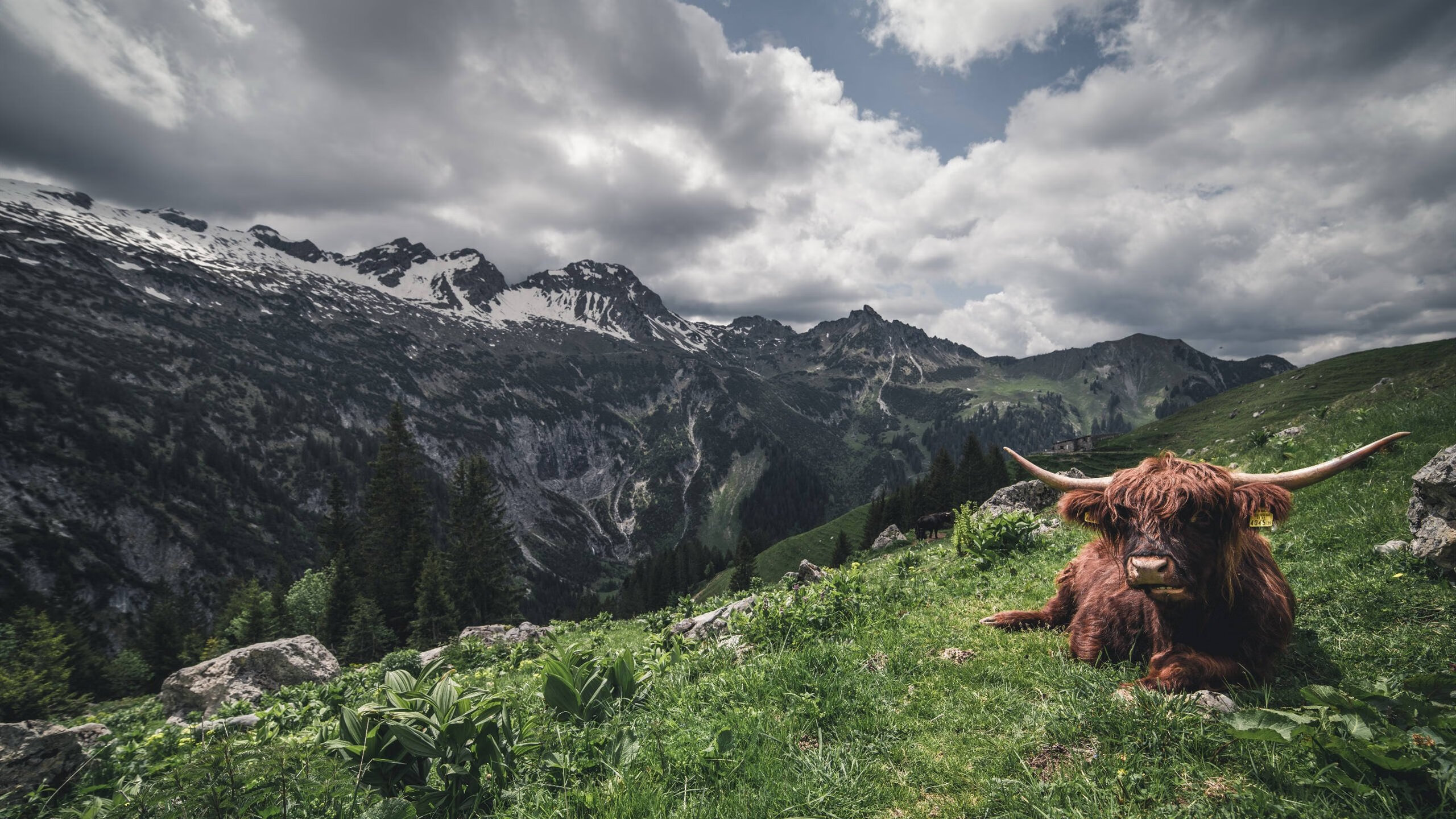 跨界决战，当詹姆斯末节接管步行者对北京的不可思议之夜