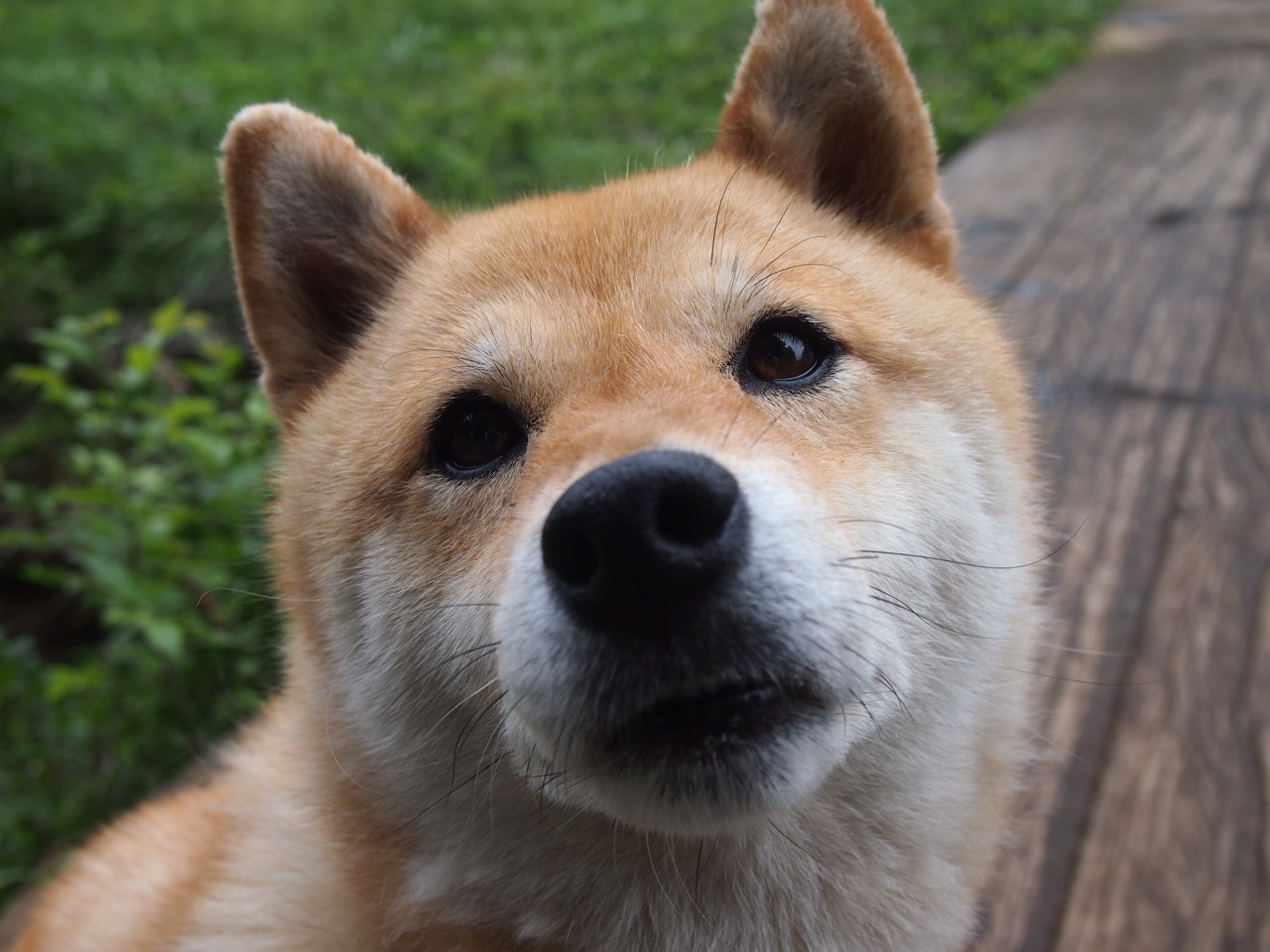 基耶萨闪电两连击,米兰三分钟终结悬念