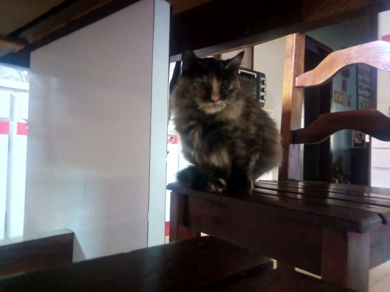 魔术魔力四射斩落热火,米切尔全能表现堪称完美