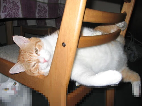 西亚卡姆关键回合不手软,热火硬仗淬火险胜马刺